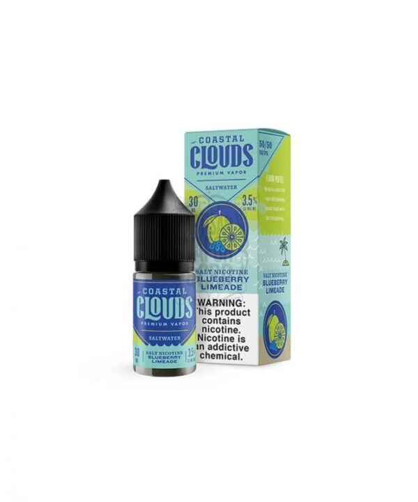 Blueberry Limeade Salt By Coastal Clouds Salt 30ML E-Liquid