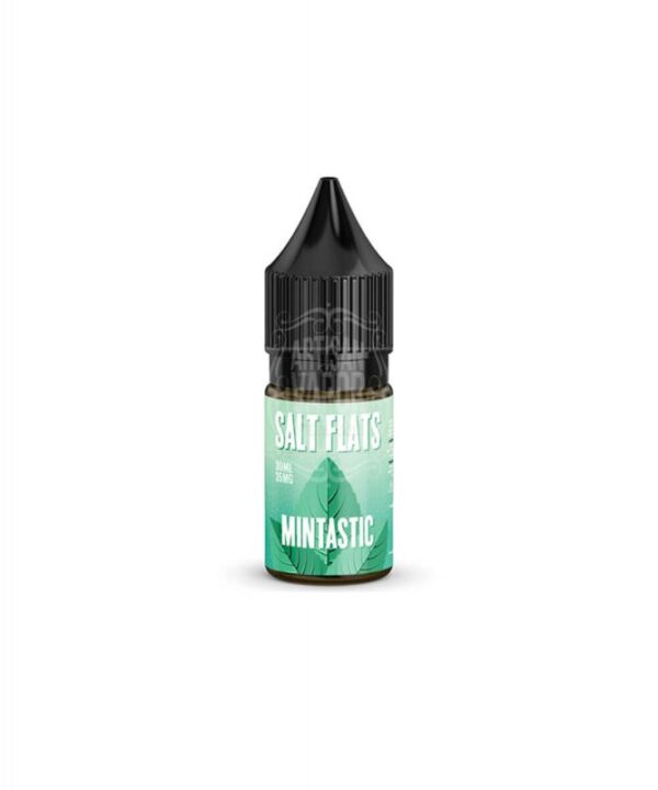 Mintastic by Salt Flats