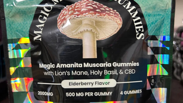 Hometown Hero Magic Muscaria Gummies 2000mg